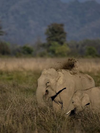 Giants & Other Jewels photo 33