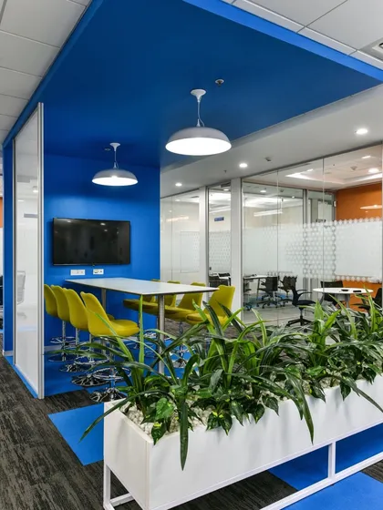 A semi-open collaboration space defined by a large white planter box filled with snake plants. The use of plants as barriers is a key part of our biophilic design strategy.