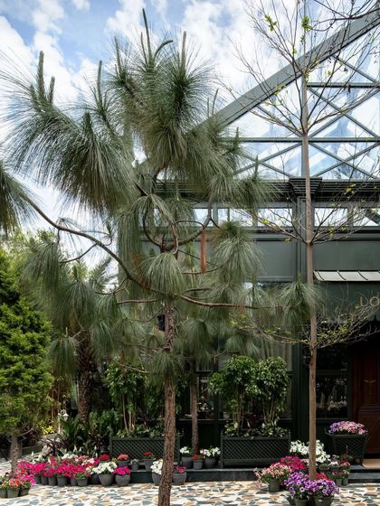 Lord Elgin Glasshouse: An Opulent Oasis photo 10