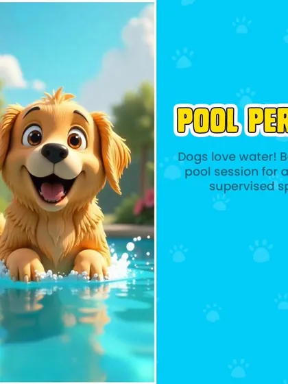 Looking for a pool perk for your dog? Dogs love water, and our supervised sessions provide a safe and fun way for them to splash around. Book a session today.