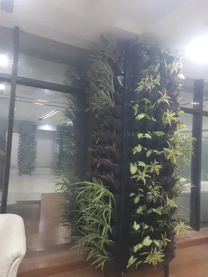 A completed vertical garden project at Era Infra Eng. Ltd. This green wall adds a refreshing touch of nature to the corporate office, improving both aesthetics and air quality.