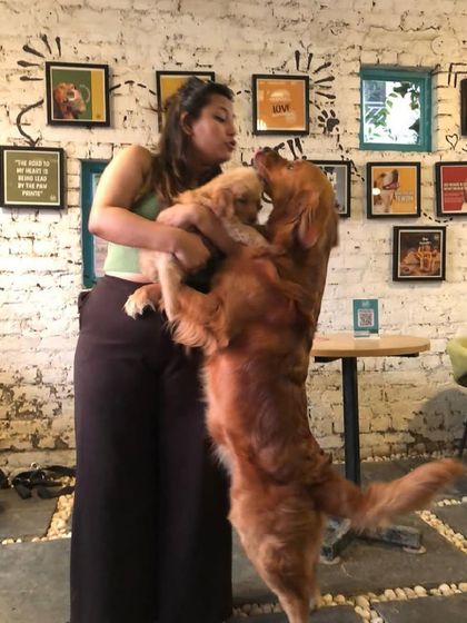 A full-on hug! The love between people and pups at our cafe is just heartwarming.