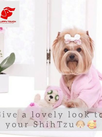 Giving a lovely look to your Shih Tzu is my specialty. A cute bow is the perfect finishing touch after a great grooming session.