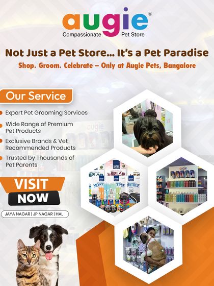 Augie Pets - Pet Grooming Services A Look Inside Our Pet Spa photo 4