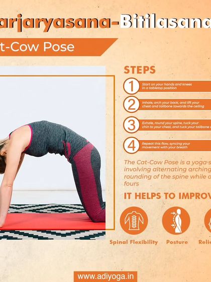 The Cat-Cow Pose is a gentle, flowing sequence that improves spinal flexibility and posture while helping to relieve stress. This graphic shows you the simple steps to follow.