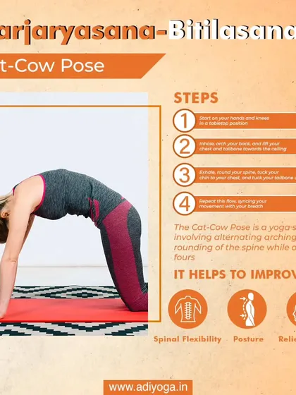 The Cat Cow Pose is a gentle, flowing sequence that connects movement with breath. It is excellent for improving spinal flexibility and relieving stress held in the back and shoulders.