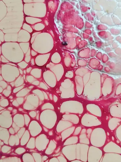A close-up of the lacing and cells in the pink pour. It looks like a delicate web or a network of veins.