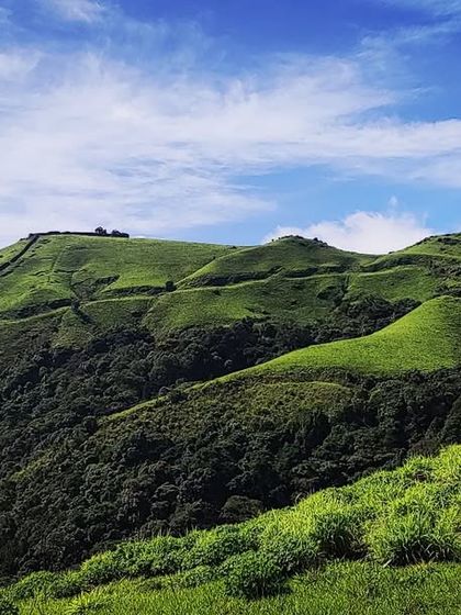 Puneeth - Cinematography for Film & Digital Media Wildlife & The Western Ghats photo 30