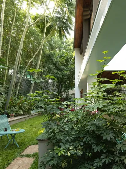 A small, personal garden space with a simple chair and table set against a backdrop of bamboo. This design shows how even compact areas can be transformed into peaceful retreats for one.