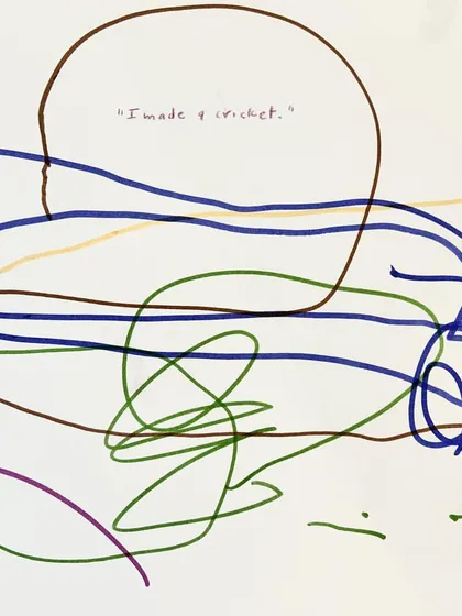 These images showcase the beauty of "mark-making," the first stage of writing. What looks like scribbles to an adult is a child's exploration of lines, shapes, and the stories they can tell, complete with their own dictated captions.