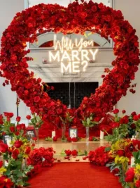 Romantic Occasion Decoration
