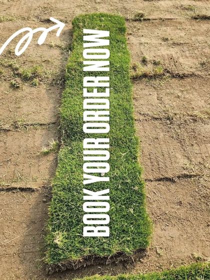 Delhi Gardner - Full-Service Landscaping Premium Lawn & Turf Solutions photo 36