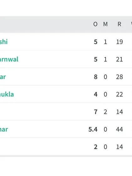 The full bowling card for Delhi Blues, showing a combined team effort.