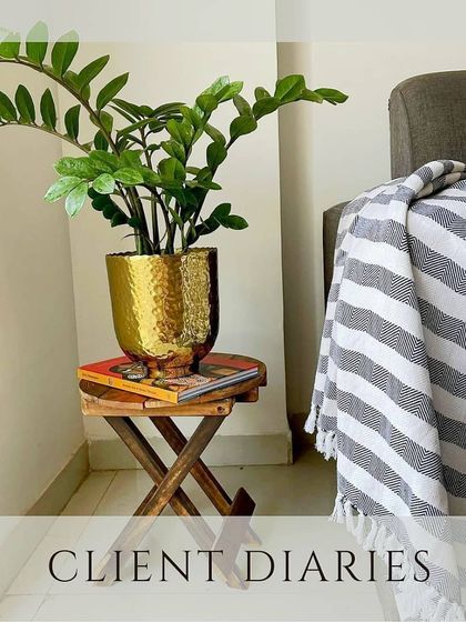 Thorny Affair - Pots & Planters From Our Home to Yours photo 4