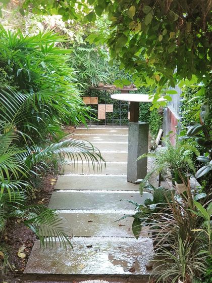 A view of the garden at our studio after the rain. The wet stone path and vibrant green leaves create a refreshing and inspiring work environment.