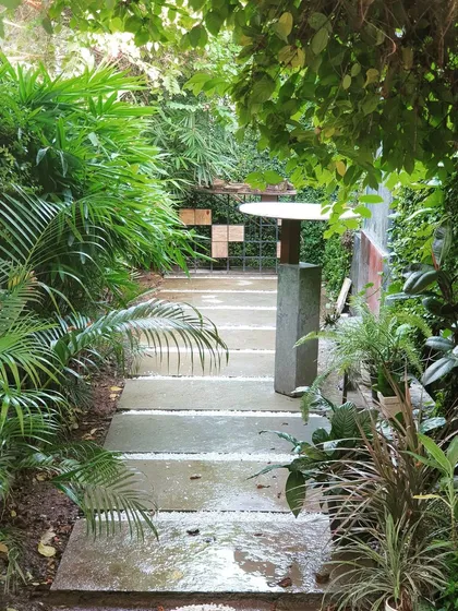 A view of the garden at our studio after the rain. The wet stone path and vibrant green leaves create a refreshing and inspiring work environment.