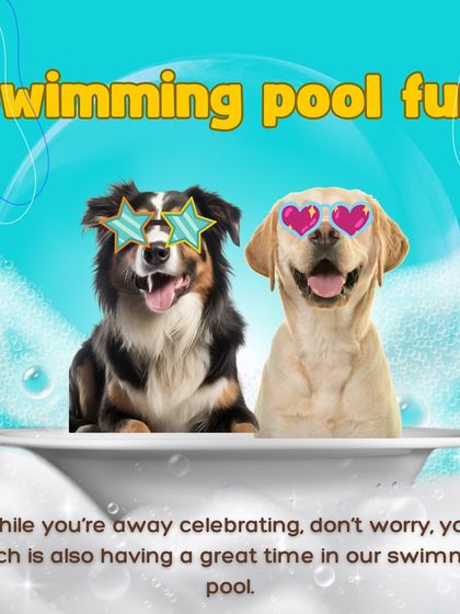 While you're away, you can rest assured your dog is having a great time. Our swimming pool is just one of the many fun activities we offer for our boarding guests.