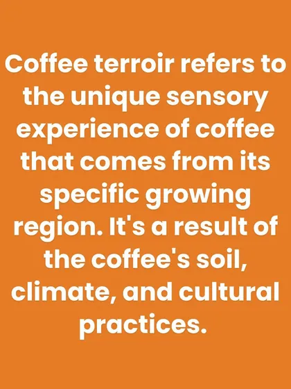 A simple text explanation of coffee terroir, covering the environmental and agricultural factors that create a coffee's unique sensory experience.