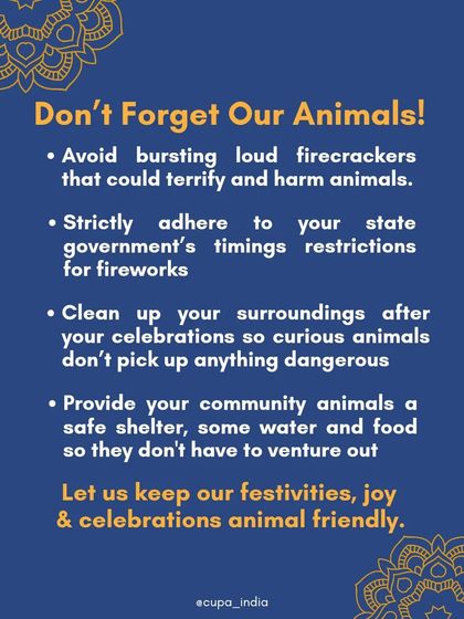 Cupa - Animal Cruelty Legal Aid & Advocacy Building a Compassionate Community photo 15