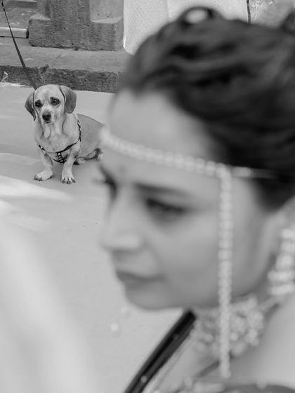 A pet's perspective. The family dog watches from a distance as his human gets married. I love capturing these quirky, unexpected details that add so much personality and heart to a wedding story.