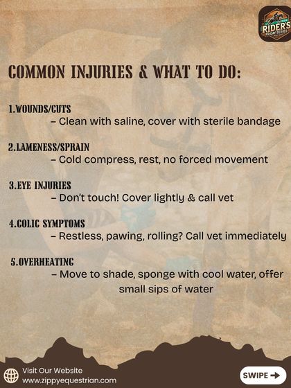 Knowing how to respond to common injuries is crucial. We train our staff to identify and provide initial care for issues like cuts, lameness, or colic symptoms, and to know when to call the vet immediately.