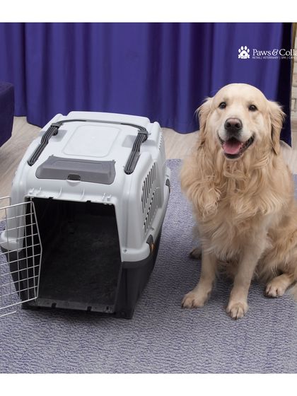 PawsnCollars - Veterinary Care Seamless Pet Relocation, Worldwide photo 12