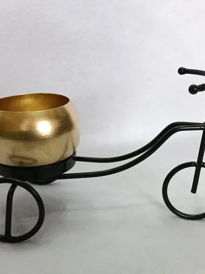 A decorative mini tricycle planter with a metallic gold pot. This charming piece is perfect for holding a small succulent or air plant on a desk or shelf.
