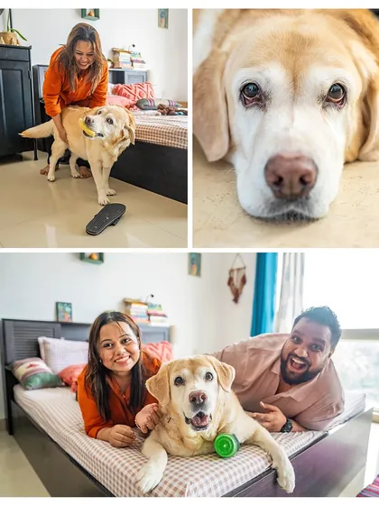 A collage from senior dog Mhysa's at-home session. These photos capture her personality, from her playful side to quiet moments of rest with her loving family.