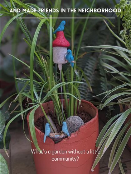What's a garden without a little community? Here, the birds have made friends in the neighborhood of this broken pot garden.