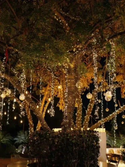 Spectacular Evenings: Sangeets, Receptions & Welcome Dinners photo 45