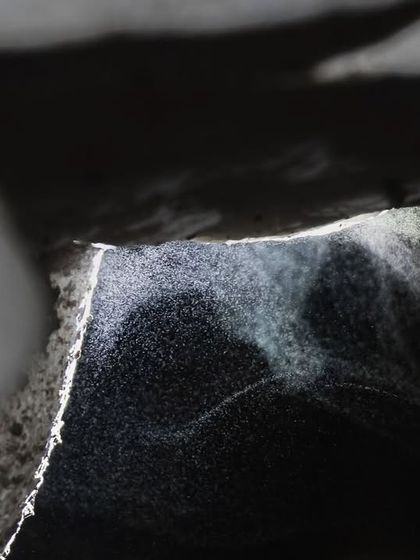 A different angle of the mushroom sporulation, with light catching the cloud of spores as they drift away.