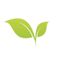 Greenlife Vision