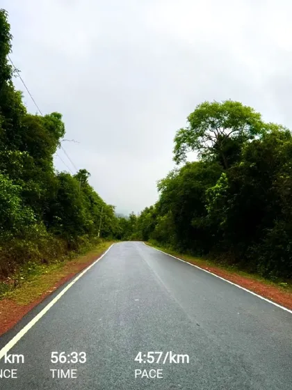 "Your outer journey may contain a million steps; your inner journey only has one: the step you are taking right now." A quote from Eckhart Tolle that perfectly captures the mindful presence I find while running on a quiet, open road.