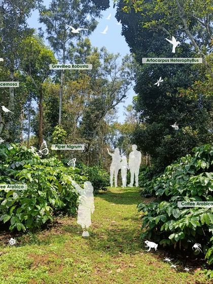 A conceptual image for our Sakleshpur project, illustrating the existing biodiversity. We identified native species like Coffee Arabica, Piper Nigrum (pepper), and Ficus Racemosa to ensure our design works in harmony with the local ecosystem.