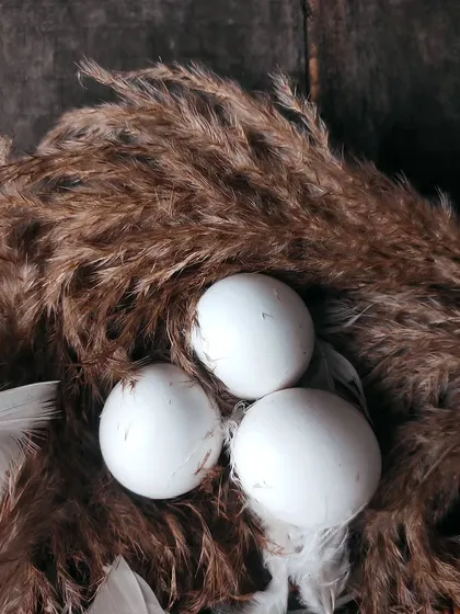 A rustic, moody composition of three white eggs nestled in a bed of pampas grass, perfect for organic or farm-to-table brands.