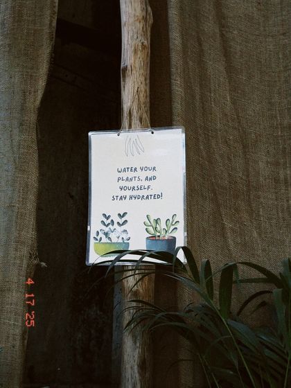 Our Plant Nursery photo 12