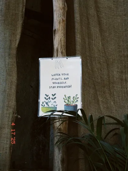 A friendly reminder to water your plants, and yourself. Staying hydrated is key for all living things.