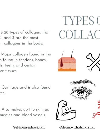 There are 28 types of collagen in the body. Types 1 and 3 are the most important for skin structure, while Type 2 is crucial for cartilage and joints.