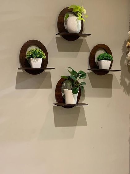 Creative Wall & Hanging Planters photo 3