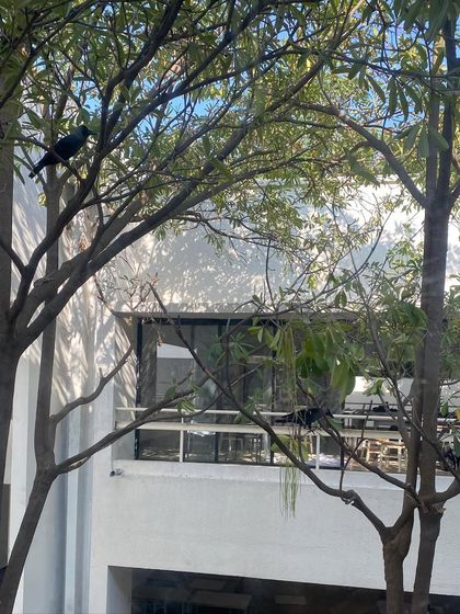 Soumitro Ghosh - Architectural Design Additional Work & Engagements photo 46