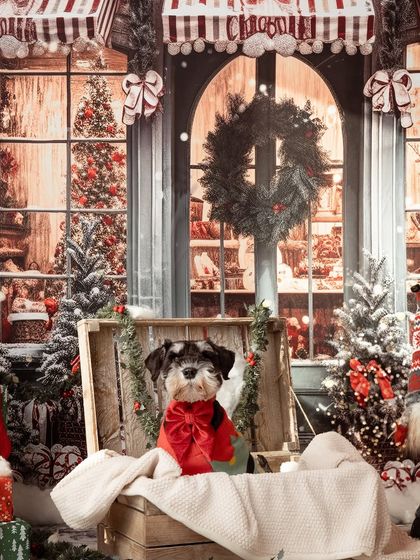 Rohit - Seasonal Mini-Sessions Festive Christmas Portraits photo 10