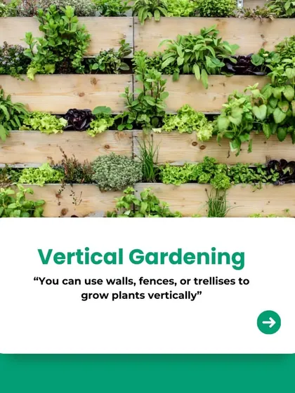 Vertical gardening is one of my favorite solutions for urban homes. This image shows how even a simple wall can become a lush, productive green space, perfect for growing herbs, flowers, or just adding a stunning natural feature to your home.
