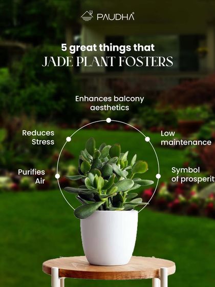 Paudha - Commercial Biophilic & Interior Design Our Design Philosophy & Tips photo 4