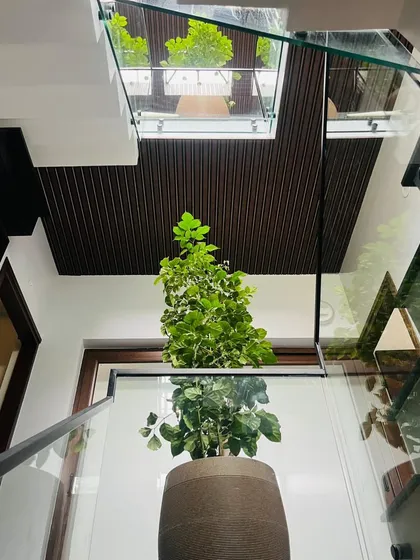 Looking up through a glass ceiling in a multi-story home. We placed a tall, variegated China Doll plant in this central spot, allowing it to grow towards the light and connect the different floors with a single column of green.