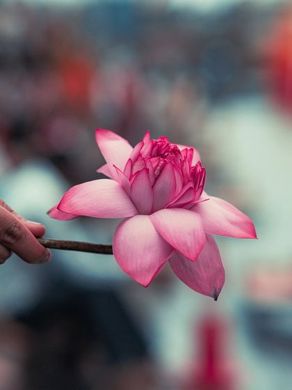 Garima Bhaskar - Photography Services Cultural India: Festivals & Rituals photo 26