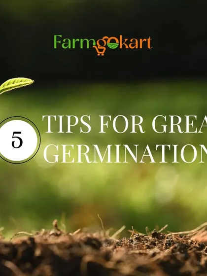 Great germination is the first step to a great garden. This series of images will give you five key tips to help your seeds sprout successfully.