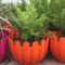 Partap Nursery