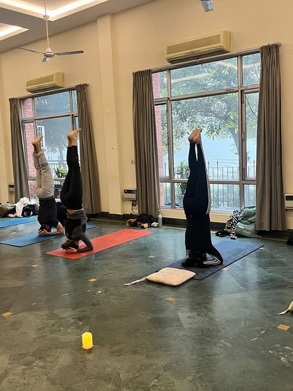 A full class of students holding Sirsasana, or headstand, together. A powerful moment of shared focus and strength.