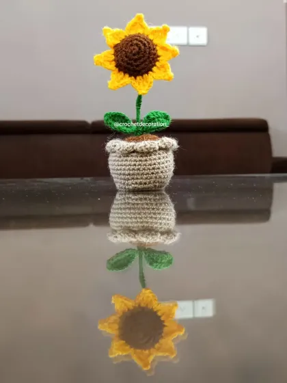 An artistic shot of our potted sunflower with its reflection. These little pots look great on glass tables and shelves.