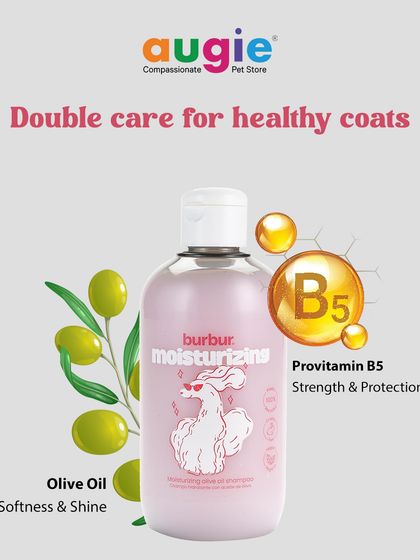 Augie Pets - Pet Grooming Services Shampoos & Conditioners for Every Coat photo 3